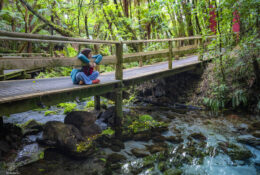 New Zealand 2025 (1 group) (47/66)